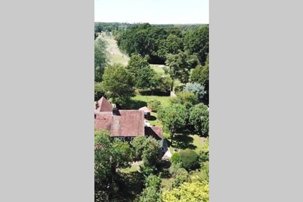 Rose Cottage Rowland's Castle Εξωτερικό φωτογραφία
